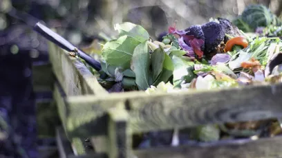 Compost bin in a garden
