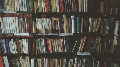 Library bookshelves