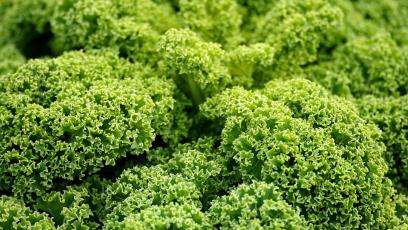 Kale