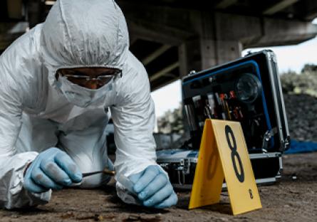 Senior forensic scientist working at crime scene